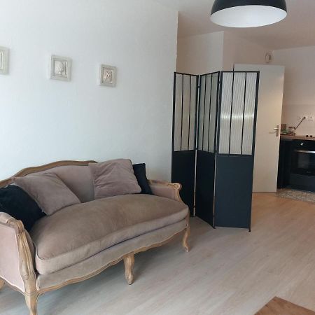 Le Savoie Appartement 2 Chambres 3 Couchages ,Balcon Et Parking Prive Bellegarde-sur-Valserine Luaran gambar